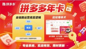 拼多多年卡【8月更新6节】拼多多全链路运营底层逻辑，超级爆单术-网创资源站