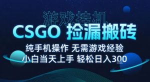 8月最新游戏搬砖，CSGO纯挂G，不需要玩游戏，实现真挂G，月入1W+【揭秘】-网创资源站