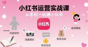 小红书运营实战课，从零到一玩賺小红书-网创资源站