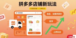 拼多多店铺新玩法，代发供应链上拼玩法-网创资源站