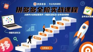 拼多多全阶实战课程，从新手小白到运营高手，海量实战玩法+全年实时更新【2025年9月更新】-网创资源站