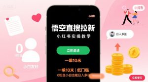 悟空直搜拉新小红书实操教学，一单10米，低门槛，0粉丝小白也能日入多张-网创资源站