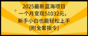 2025最新蓝海项目一个月变现1w+新手小白也能轻松上手【附全套指令】-网创资源站