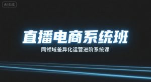 直播电商系统班，同领域差异化运营进阶系统课-网创资源站