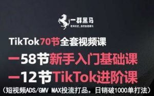 TikTok全套视频课，新手入门+进阶课，短视频ADS-GMV MAX投流打品，日销破1000单打法-网创资源站