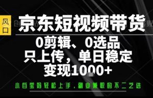 你出账号，我来运营，保底日入1k+，开启躺賺模式【揭秘】-网创资源站