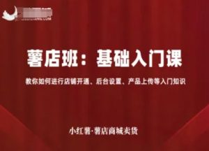 小红薯薯店商城卖货，基础入门课，教你如何进行店铺开通、后台设置、产品上传等入门知识-网创资源站