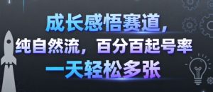 成长感悟赛道，纯自然流，百分百起号率 一天轻松多张-网创资源站