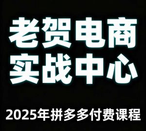 老贺电商2025年拼多多付费课程，用通俗易懂的方法告诉你多多怎么玩-网创资源站