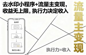去水印小程序+流量主变现，收益无上限，执行力决定收入-网创资源站