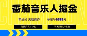 番茄音乐人掘金，单账号最高可撸1k+，可无限矩阵去做，零投入-网创资源站