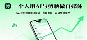 一个人用AI与剪映做自媒体，从AI应用到各赛道剪辑、涨粉变现，从起号到变现-网创资源站