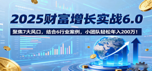 2025财富增长实战6.0，聚焦7大风口，结合6行业案例，小团队轻松年入200万！-网创资源站