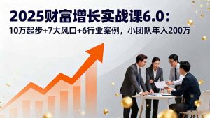 2025财富增长实战课6.0：10万起步+7大风口+6行业案例，小团队年入200万-网创资源站