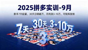 2025拼多多实训-9月:新手7天起量,30天日销破万,月利润3-10万,可矩阵复制-网创资源站