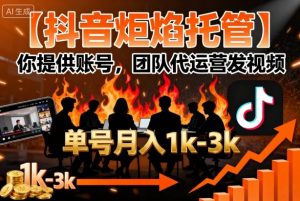 【抖音炬焰托管】你提供账号，团队代运营发视频，单号月入1k+【揭秘】-网创资源站