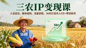 三农IP变现课，人设定位、脚本结构、流量获取，30天打造月入5万+带货账号-网创资源站