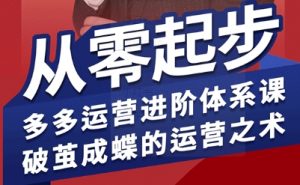 拼多多运营进阶系统课，从零起步，多多运营进阶体系课，破茧成蝶的运营之术(更新9月)-网创资源站