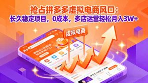 抢占拼多多虚拟电商风口：长久稳定项目，0成本，多店运营轻松月入3W+-网创资源站