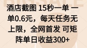 酒店截图15秒一单，一单0.6米，每天任务无上限，全网首发可矩阵单日收益3张【揭秘】-网创资源站