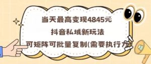 当天最高变现1k+，抖音私域新玩法，可矩阵可批量复制-网创资源站