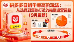 拼多多日销千单高阶玩法：从选品到爆款打造的完整运营链路(9月更新-网创资源站