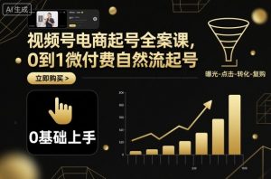 视频号电商起号全案课，0到1微付费自然流起号-网创资源站