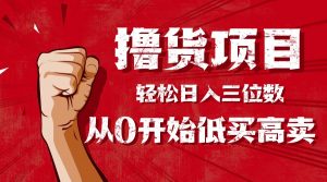 手把手教你撸货,从0开始低买高卖,小白轻松实现日入三位数!!!-网创资源站