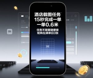 酒店截图任务，15秒完成一单，一单0.6米，任务不限量随便接，矩阵拉满单日3张【揭秘】-网创资源站