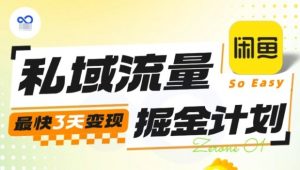 私域流量掘金计划实战训练营，最快3天变现-网创资源站