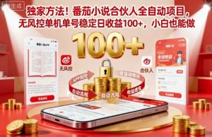 独家方法！番茄小说合伙人全自动挂G项目，无风控单机单号稳定日收益100+，小白也能做【揭秘】-网创资源站