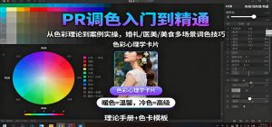 PR调色入门到精通：从色彩理论到案例实操，婚礼/医美/美食多场景调色技巧-网创资源站