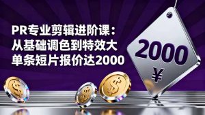 PR专业剪辑进阶课:从基础调色到特效大片的进阶技能,单条短片报价达2000-网创资源站