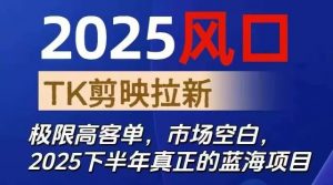 2025风口TK剪映capcut拉新项目，极限高客单，市场空白，2025下半年真正的蓝海项目-网创资源站