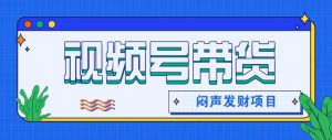 微信视频号带货项目，轻松日赚赚2000+，这个挣钱入口很多伙伴都在闷声发财-网创资源站