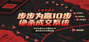 步步为赢10步绝杀成交系统，系统化解决从流量吸引到最终成交的完整链路-网创资源站