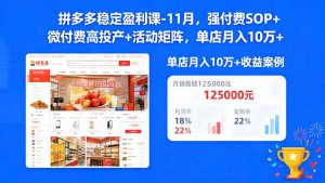 拼多多稳定盈利课-11月，强付费SOP+微付费高投产+活动矩阵，单店月入10万+-网创资源站