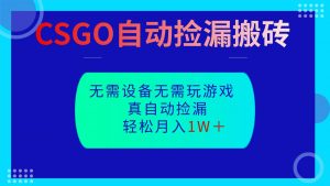 CSGO自动捡漏搬砖，当天操作当天见结果，无需了解游戏，包教包会包落地-网创资源站