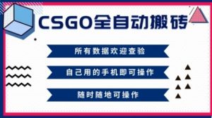 CSGO全自动搬砖，年底钱回家好项目，当天可拿到结果，新手小白轻松月入1W+【揭秘】-网创资源站