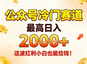 公众号冷门赛道，最高日入1k+，这波红利小白也能捡钱！-网创资源站
