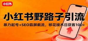 小红书野路子引流，暴力起号+SEO霸屏截流，移花接木日获客100+-网创资源站