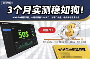 3个月实测稳如狗！wishlba最新项目，一键运行日入50美刀，单窗口躺挣，保姆级教程全给你【揭秘】-网创资源站