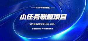 小任务联盟项目：一台电脑每天只需10分钟，轻松简单稳定-网创资源站
