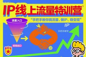 IP线上流量特训营,手把手教你搞流量、做IP、稳变现-网创资源站