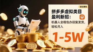 拼多多虚拟类目盈利新招：机器人全程包办回复发货，轻松月入 1-5W-网创资源站