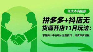 拼多多+抖店无货源开店11月玩法:掌握两大平台核心运营技巧,低成本高回报-网创资源站