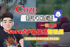 Coze扣子智能体工作流一键生成“SORA2产品信息“短视频，全流程保姆级教学-网创资源站