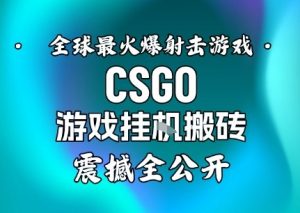 【年底大揭秘】基于全球最火爆的射击CSGO游戏挂G搬砖，日入5张+，震撼公开-网创资源站