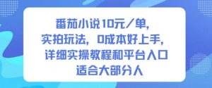 番茄小说10米每单，实拍玩法，0成本好上手，详细实操教程和平台入口适合大部分人-网创资源站