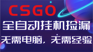 【副业好项目】全球火爆游戏CSGO自动捡漏，新手小白日入500+-网创资源站